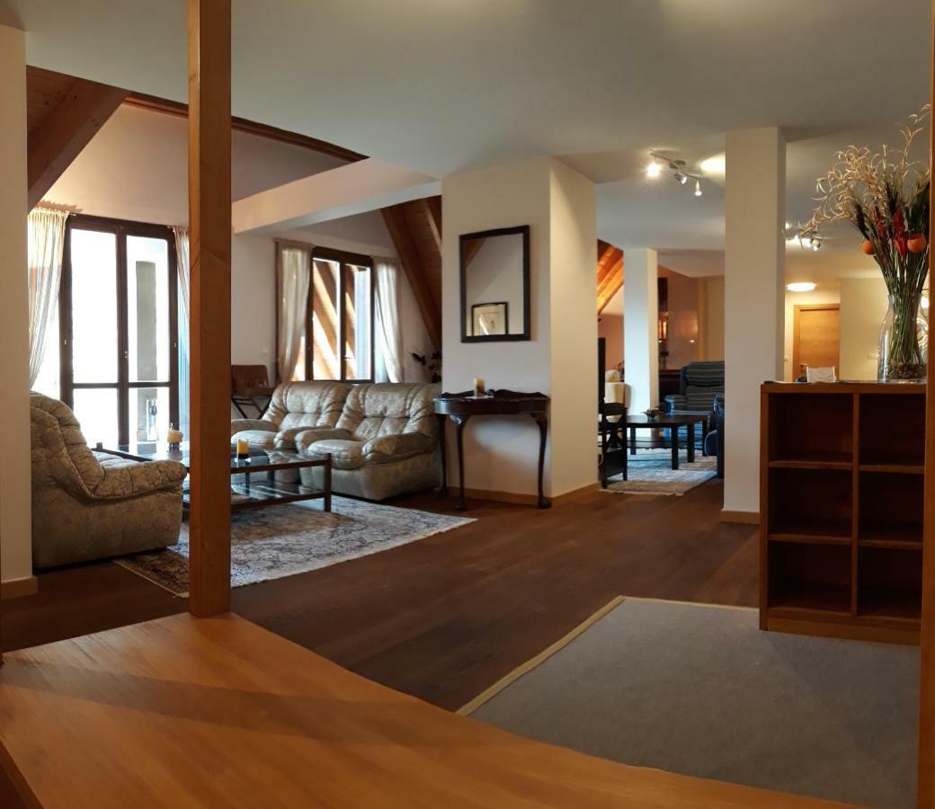 Excelsior. Espectacular Y Exclusivo Apartamento En Sallent De Gallego. מראה חיצוני תמונה